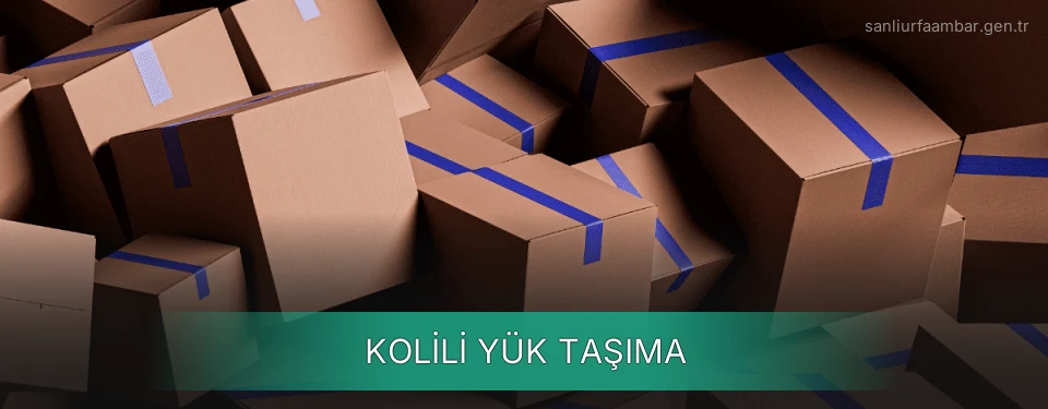 Kolili Yük Taşıma Kolili Yük Taşıma